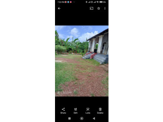 20 perch land for sale in ja ela