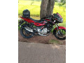 pulsar-150-2013-small-1