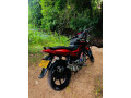 pulsar-150-2013-small-3