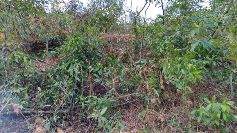 3-acres-land-for-sale-in-bulathkohupitiya-big-3