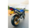 honda-hornet-250-ch130-2008-small-1