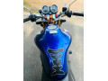 honda-hornet-250-ch130-2008-small-3