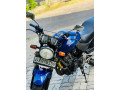 honda-hornet-250-ch110-2011-small-2