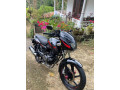 bajaj-pulsar-150-2017-small-2