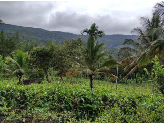 40 acres land for sale in ratnapura kalawana