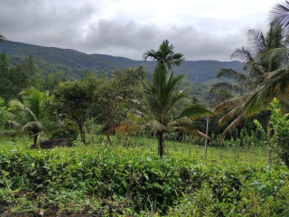 40-acres-land-for-sale-in-ratnapura-kalawana