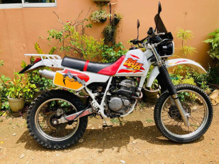 honda-xlr-baja-250-2007