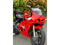 honda-cbr-gullarm-250-rr-small-0