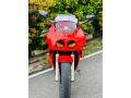 honda-cbr-gullarm-250-rr-small-1