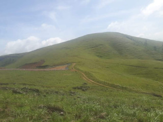 82 acres land for sale in nuwaraeliya