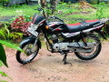 bajaj-ct100-2011-small-1