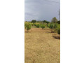 6-acres-land-for-sale-in-thanamalwila-small-1