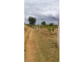 6-acres-land-for-sale-in-thanamalwila-small-2