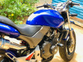 honda-hornet-small-4