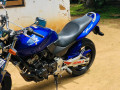 honda-hornet-small-3