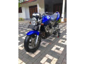 honda-hornet-600-unregistered-small-1