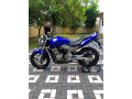 honda-hornet-600-unregistered-small-0