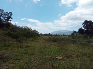 5.5 acres land for sale in kandy