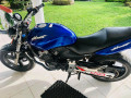 honda-hornet-ch110-2017-small-4