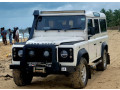 landrover-defender-110-1991-small-0