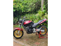 honda-hornet-ch130-2008-small-2