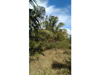 15 acres Land for sale in mattala