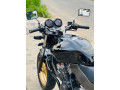 honda-hornet-250-ch110-small-3