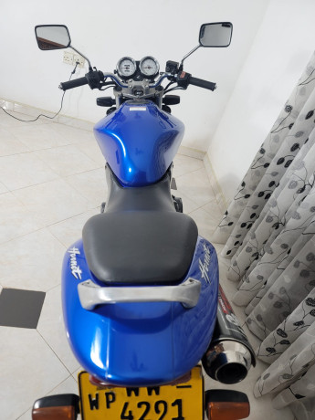 honda-hornet-250-ch115-big-2
