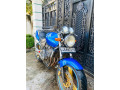 honda-hornet-250-ch115-small-1