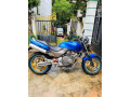 honda-hornet-250-ch115-small-0