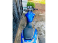 honda-hornet-250-ch115-small-3