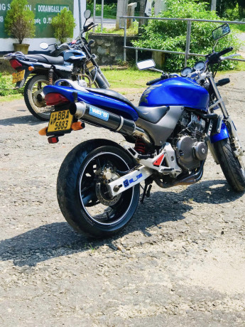 honda-hornet-250-ch115-big-2