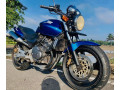 honda-hornet-250-ch150-small-2