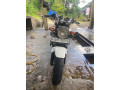 honda-hornet-250-ch130-small-1