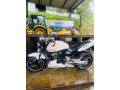 honda-hornet-250-ch130-small-2