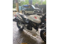 honda-hornet-250-ch130-small-4