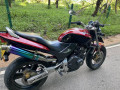 honda-hornet-250-small-2