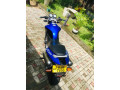 honda-hornet-250-ch115-small-4