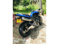 honda-hornet-250-ch115-small-3