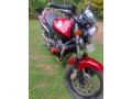 honda-hornet-250-ch110-small-1