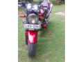 honda-hornet-250-ch110-small-0