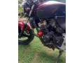 honda-hornet-250-ch110-small-3