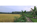 11-acres-land-for-sale-in-horana-small-1
