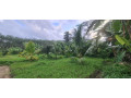 11-acres-land-for-sale-in-horana-small-0