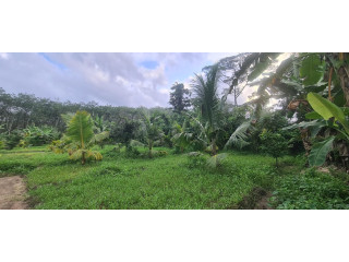 11 acres land for sale in horana