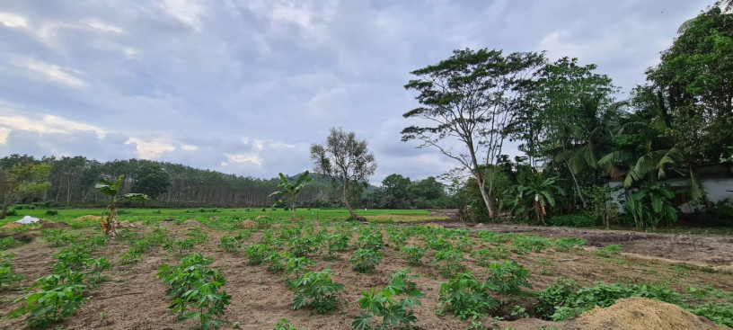 11-acres-land-for-sale-in-horana-big-4
