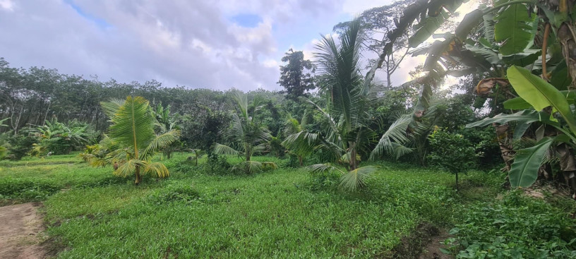 11-acres-land-for-sale-in-horana-big-0
