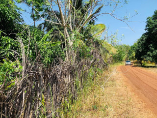 4-acres-land-for-sale-in-monaragala