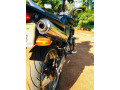 honda-hornet-250-ch125-small-3