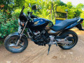 honda-hornet-250-ch125-small-0